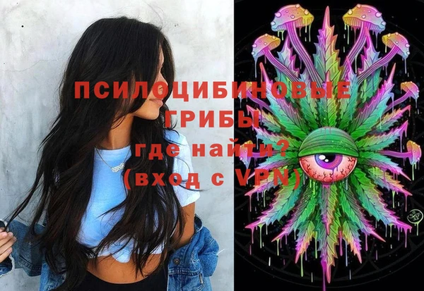 спайс Алексин