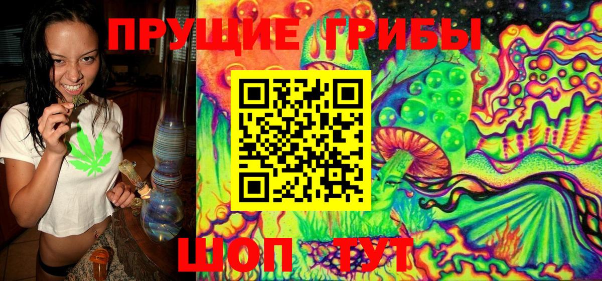 Тула  Галлюциногенные грибы Magic Shrooms  Вход с VPN  Псилоцибиновые грибы Cubensis 