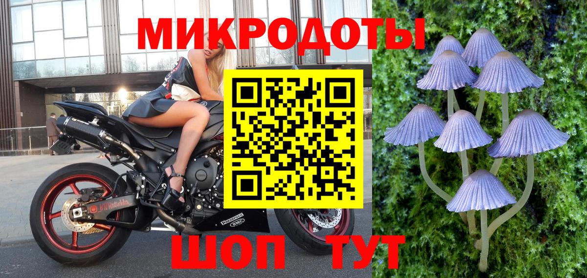 Псилоцибиновые грибы Psilocybine cubensis Тула